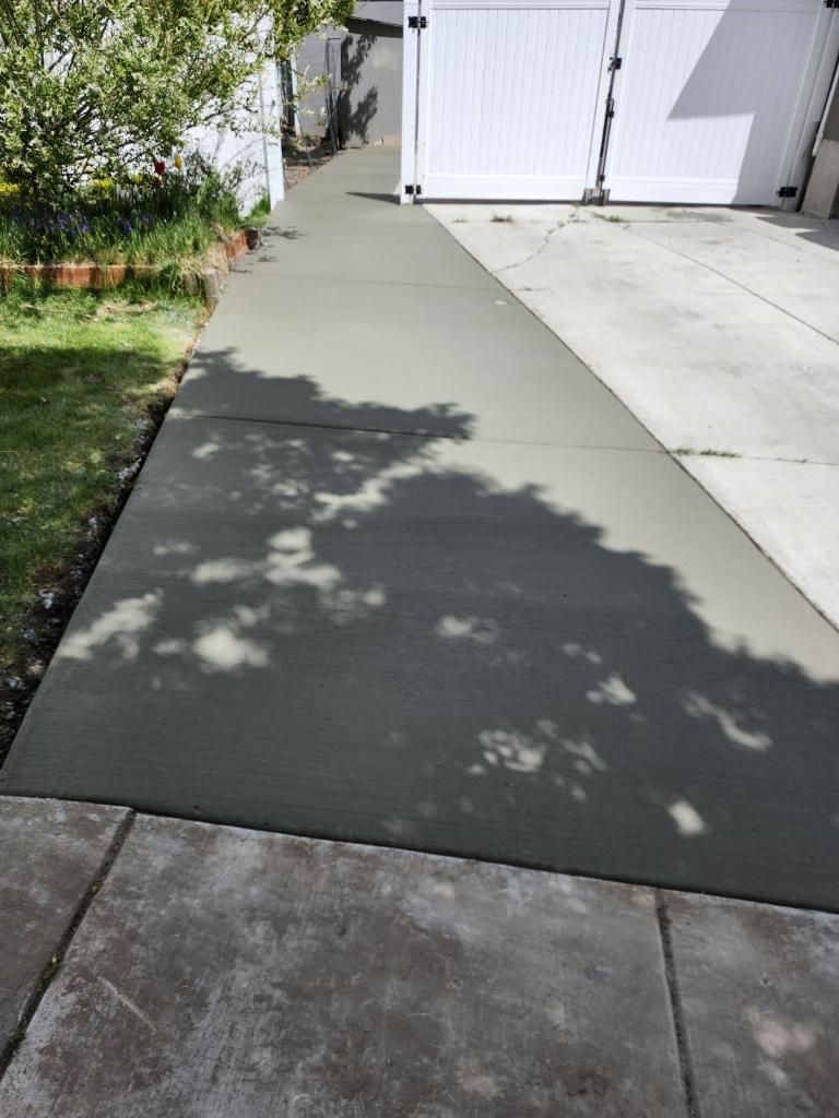 A shadow of a tree is cast on a concrete walkway.