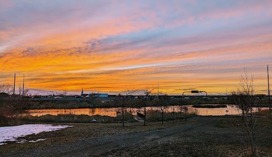 A sunset over a lake with trees in the foreground and a bridge in the background.