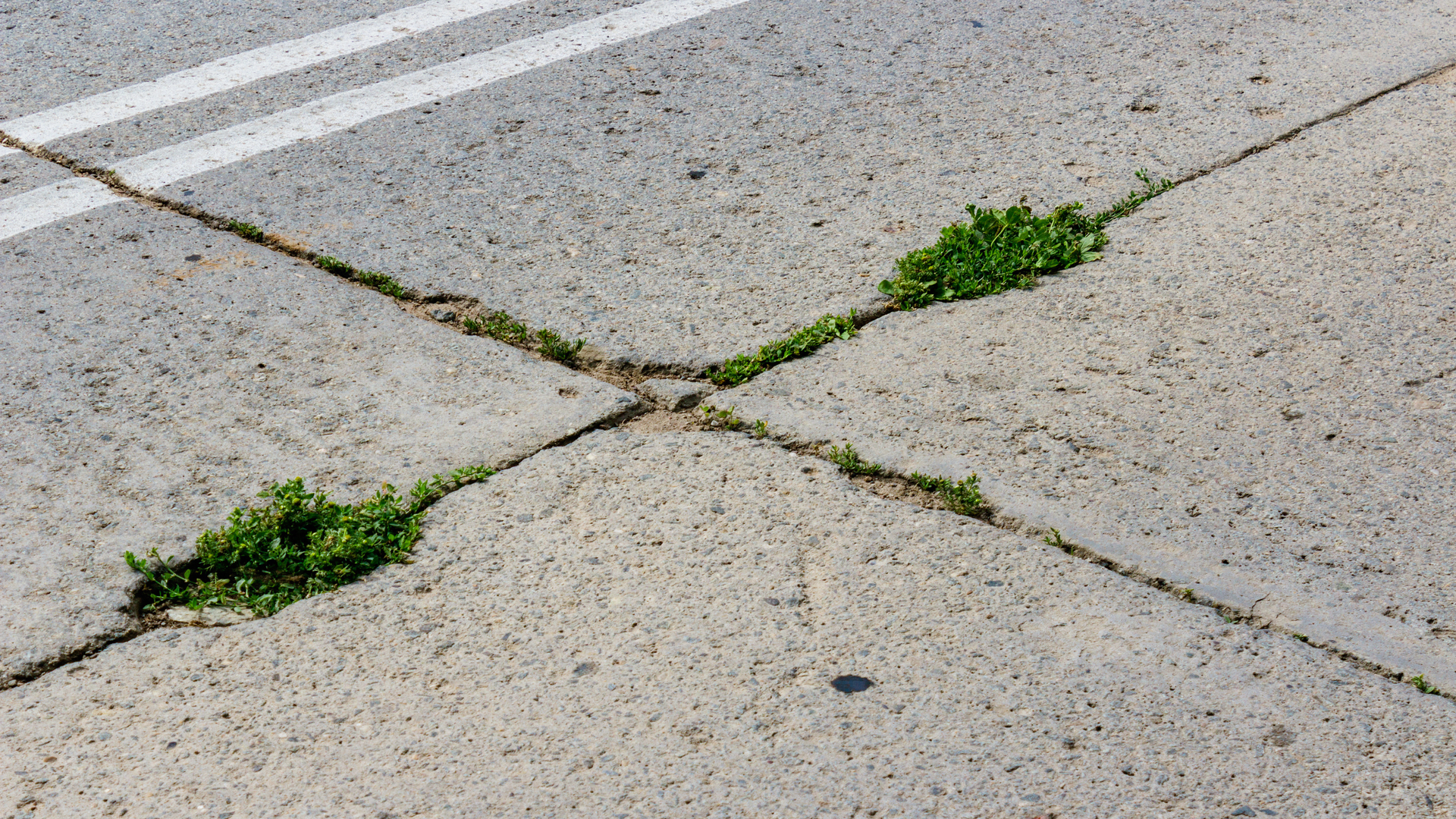 Concrete driveway with uneven finish and cracks caused by improper installation