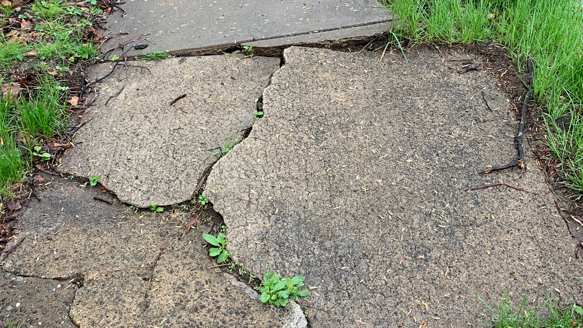 Sunken concrete driveway section creating uneven surface due to soil movement