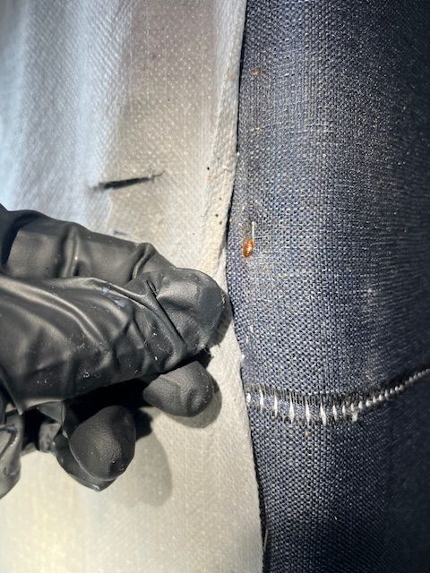 Gloved hand pinching the seam of denim jacket, showing light blue and dark blue fabrics.