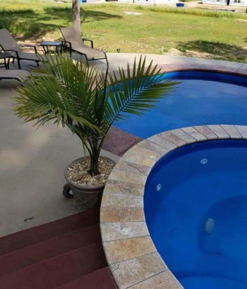 Curved blue pool with stone coping and a potted palm on a patio overlooking a grassy yard