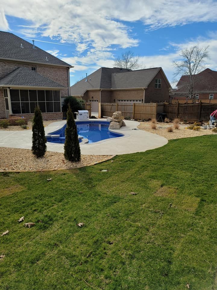 Backyard patio with an in-ground pool, beige pavers, and two tall shrubs beside a house and neighboring homes