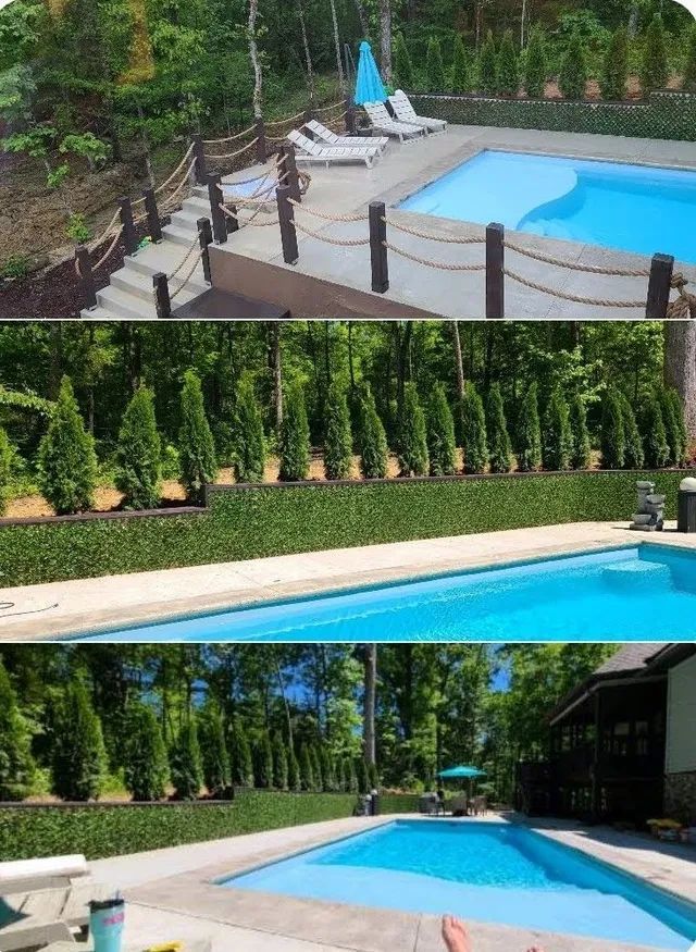 Outdoor pool with blue water, rope fence, and tall evergreen hedges surrounding a landscaped deck.