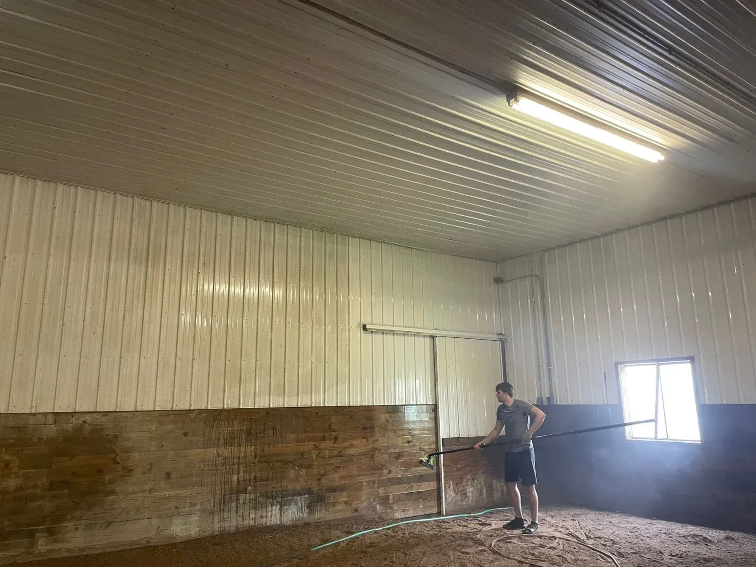 Person holding a rope inside a barn with sand floor, white walls, and a window.