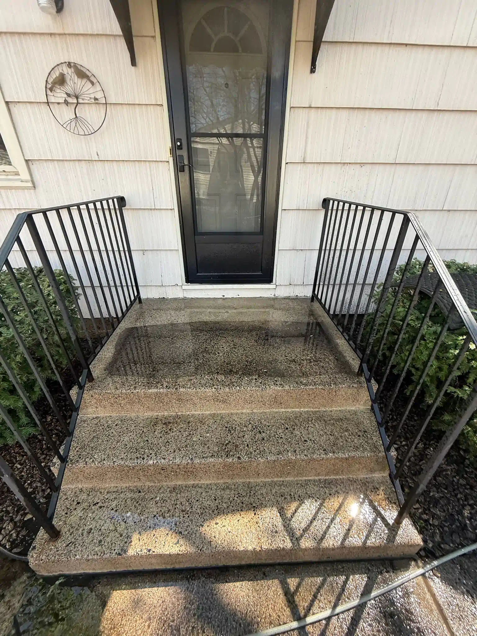 Concrete steps leading to a front door with black railings and screen door.