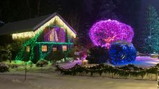 A house and trees are brightly illuminated with colorful Christmas lights against a snowy background.