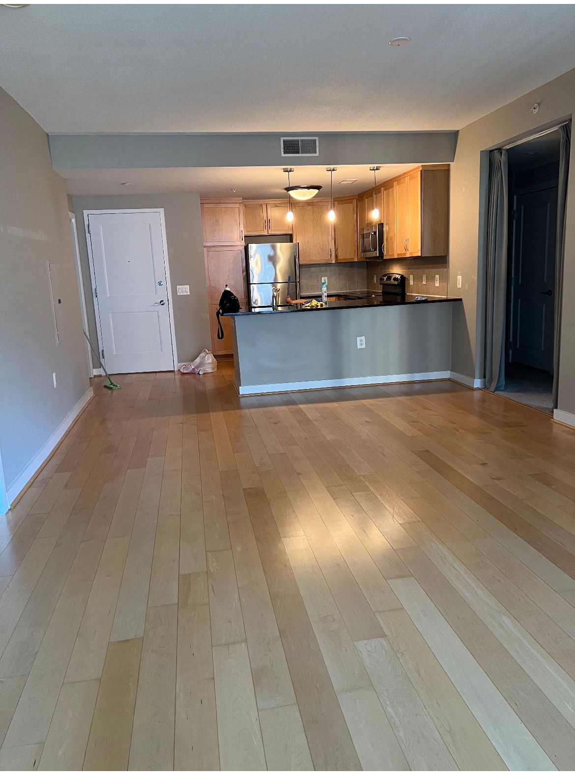 Empty apartment interior with wooden floors, kitchen, and doorway.