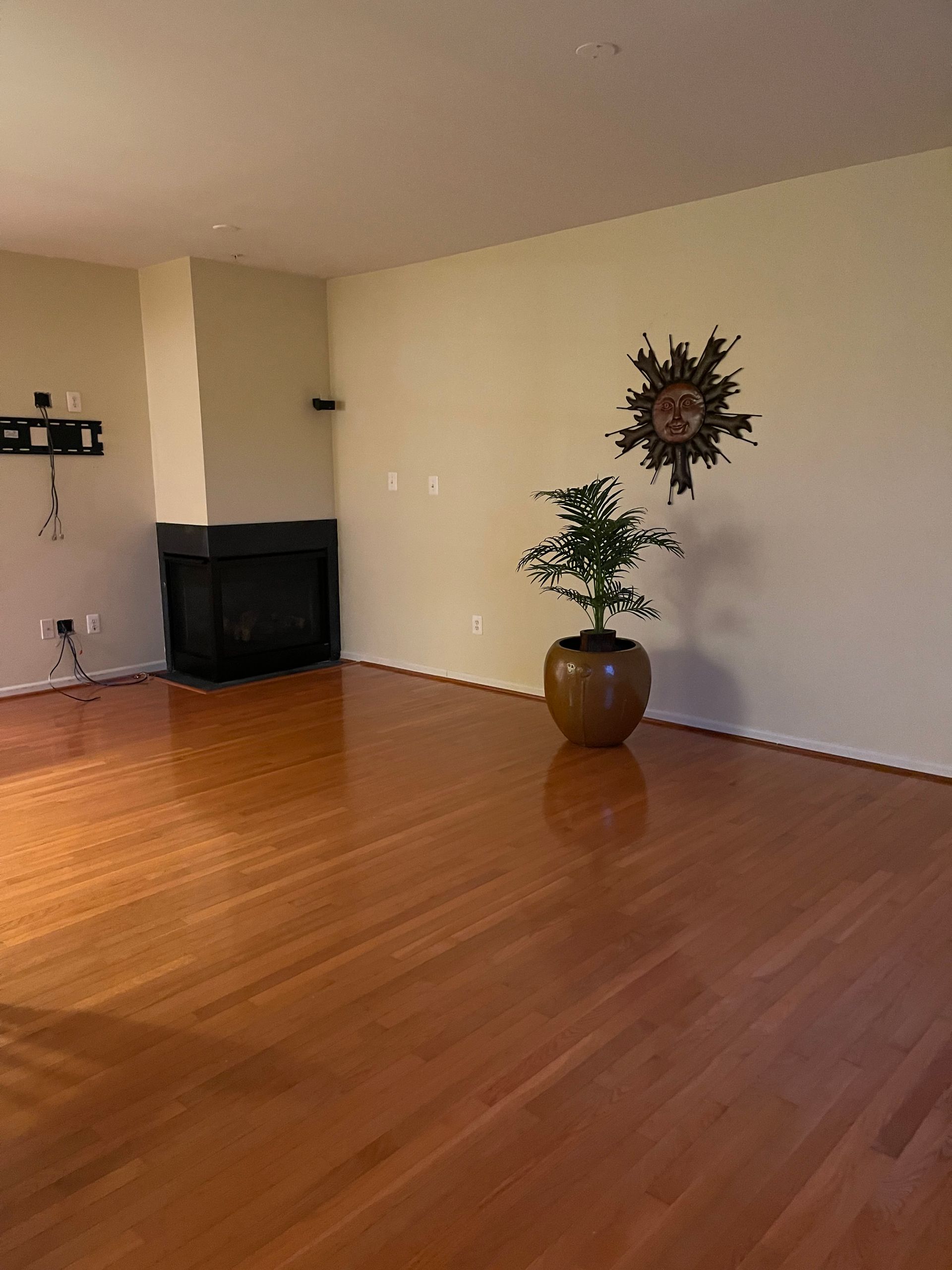 Empty room with wood floors, fireplace, and a plant. Sunburst decor on the wall.