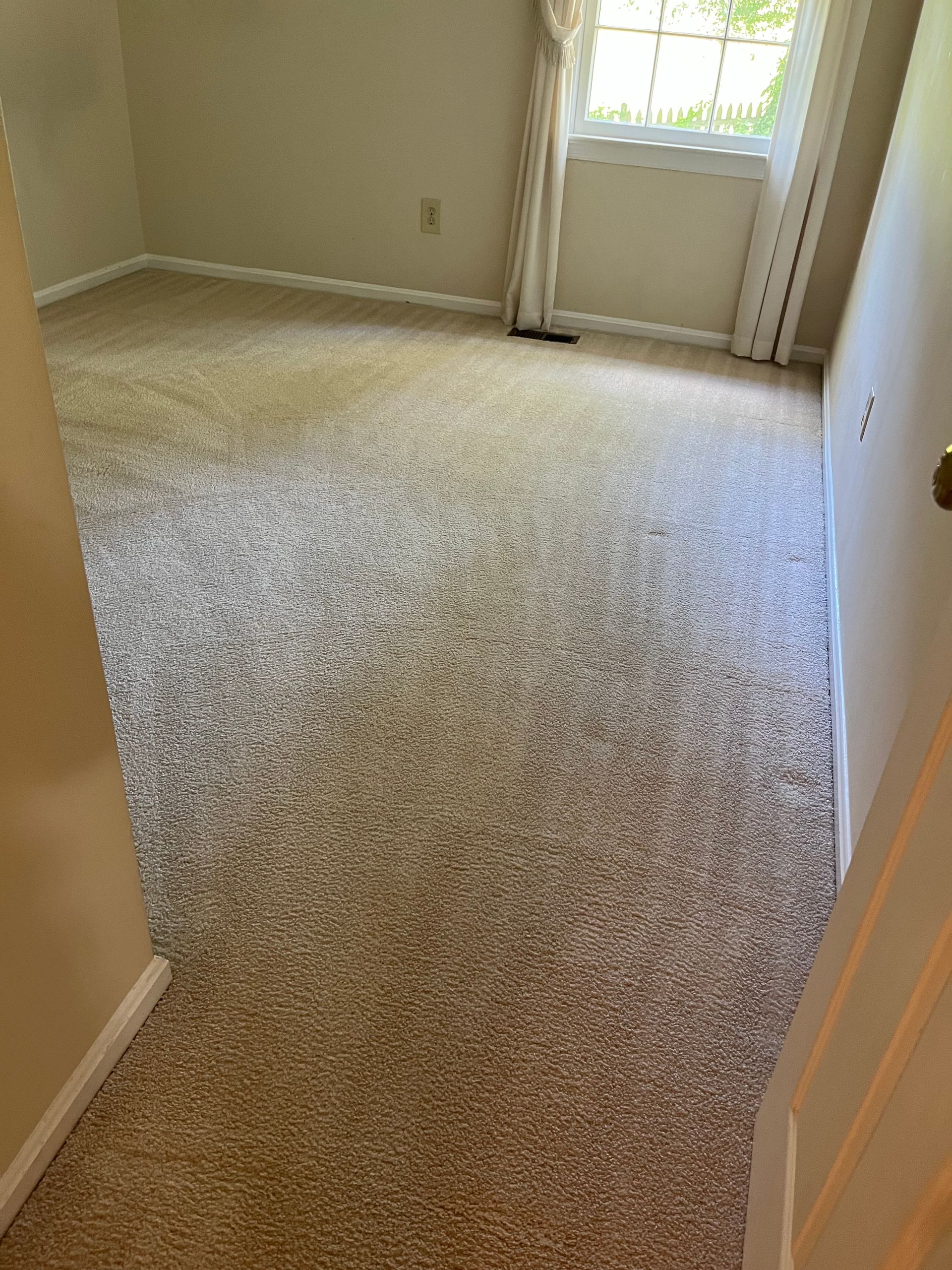 A room with beige carpet, a window with curtains, and a partially open door.