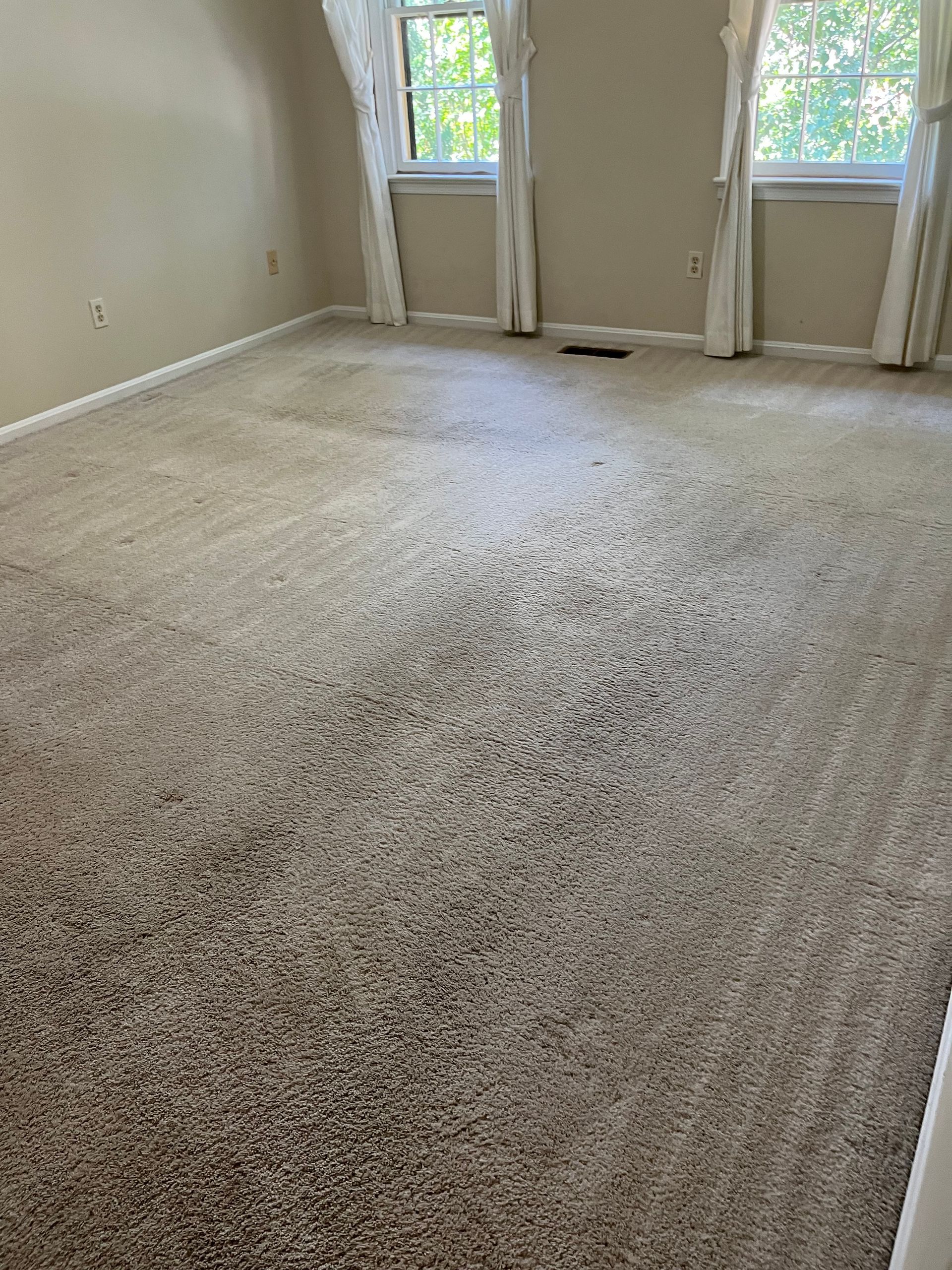 Beige carpeted room with two windows framed by white curtains. Carpet has dark stains.
