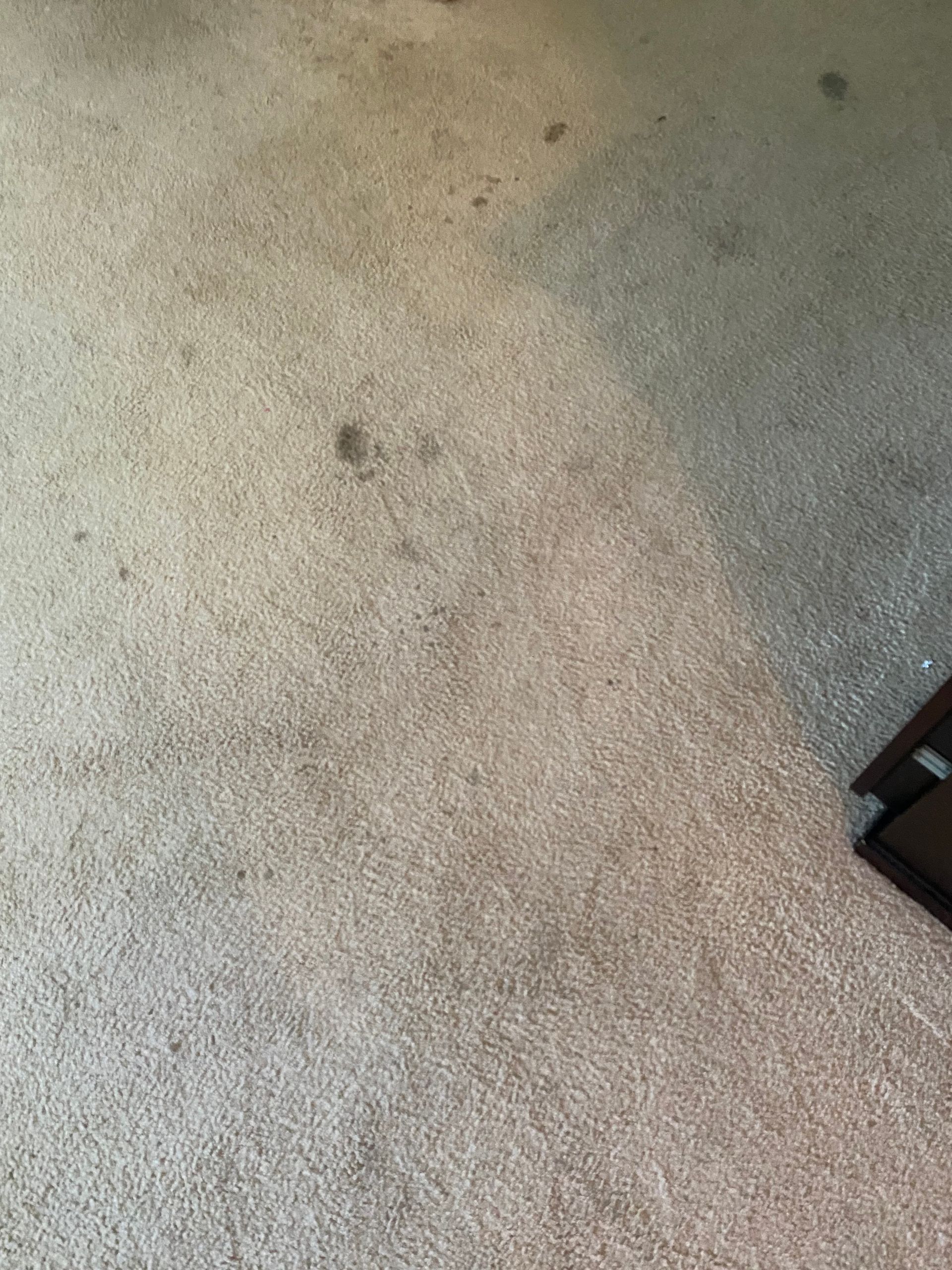A beige carpet with some stains, with a dark wooden structure in the right corner.