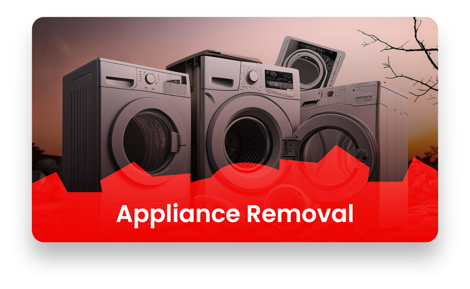 Appliance Removal Image