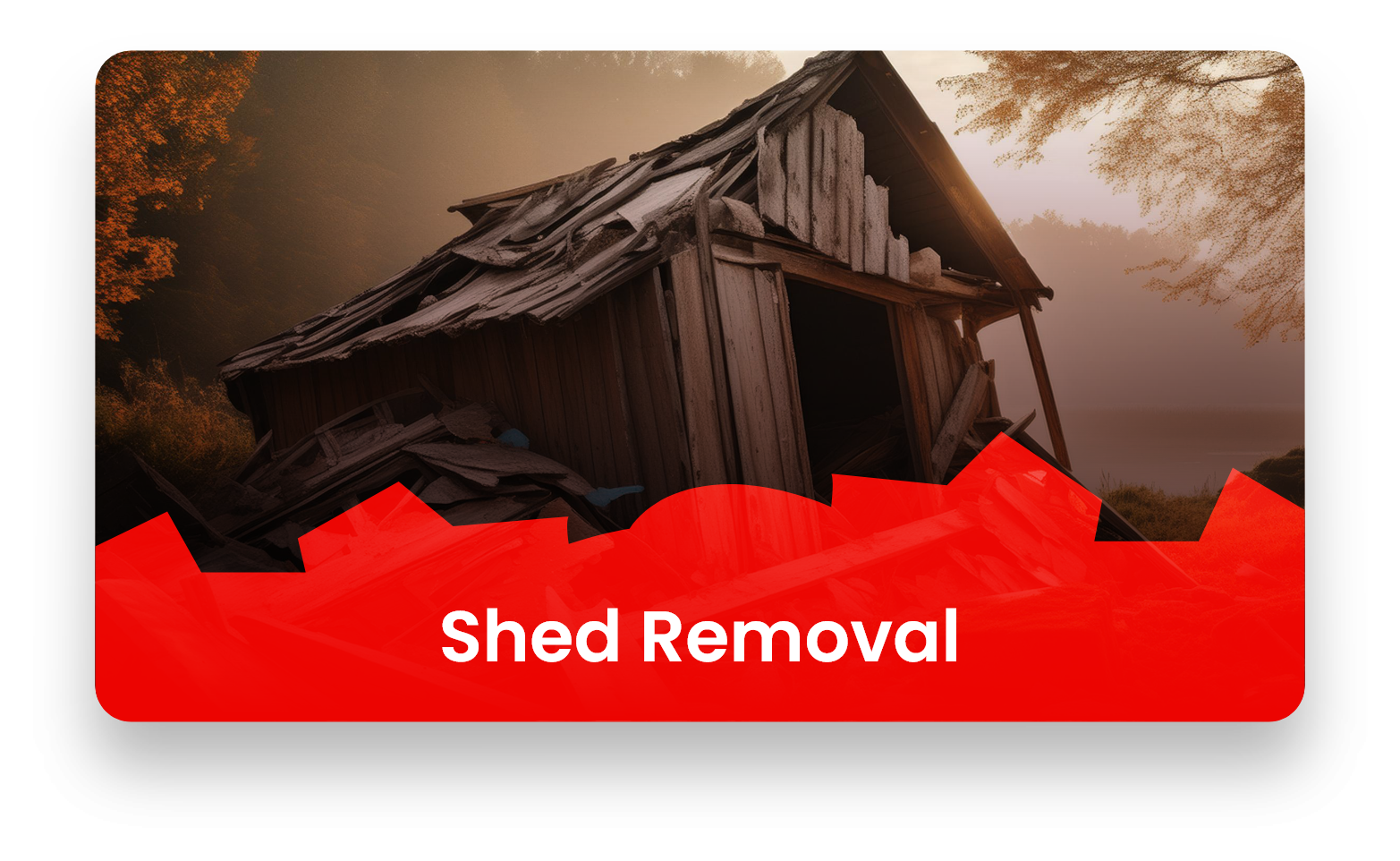 Shed Removal Image