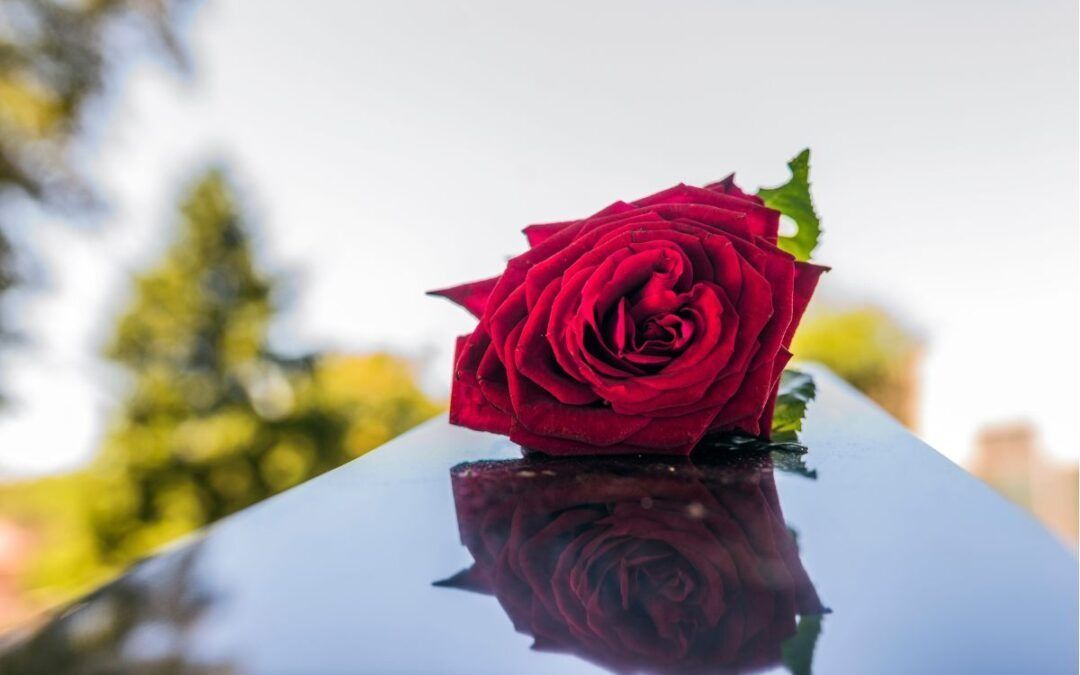 rosa rossa posizionata su un feretro