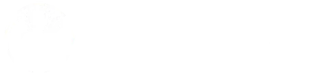 A white background with a few lines on it