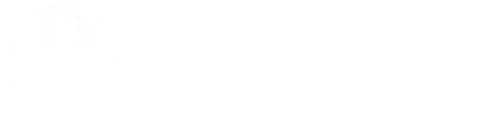 A white background with a few lines on it