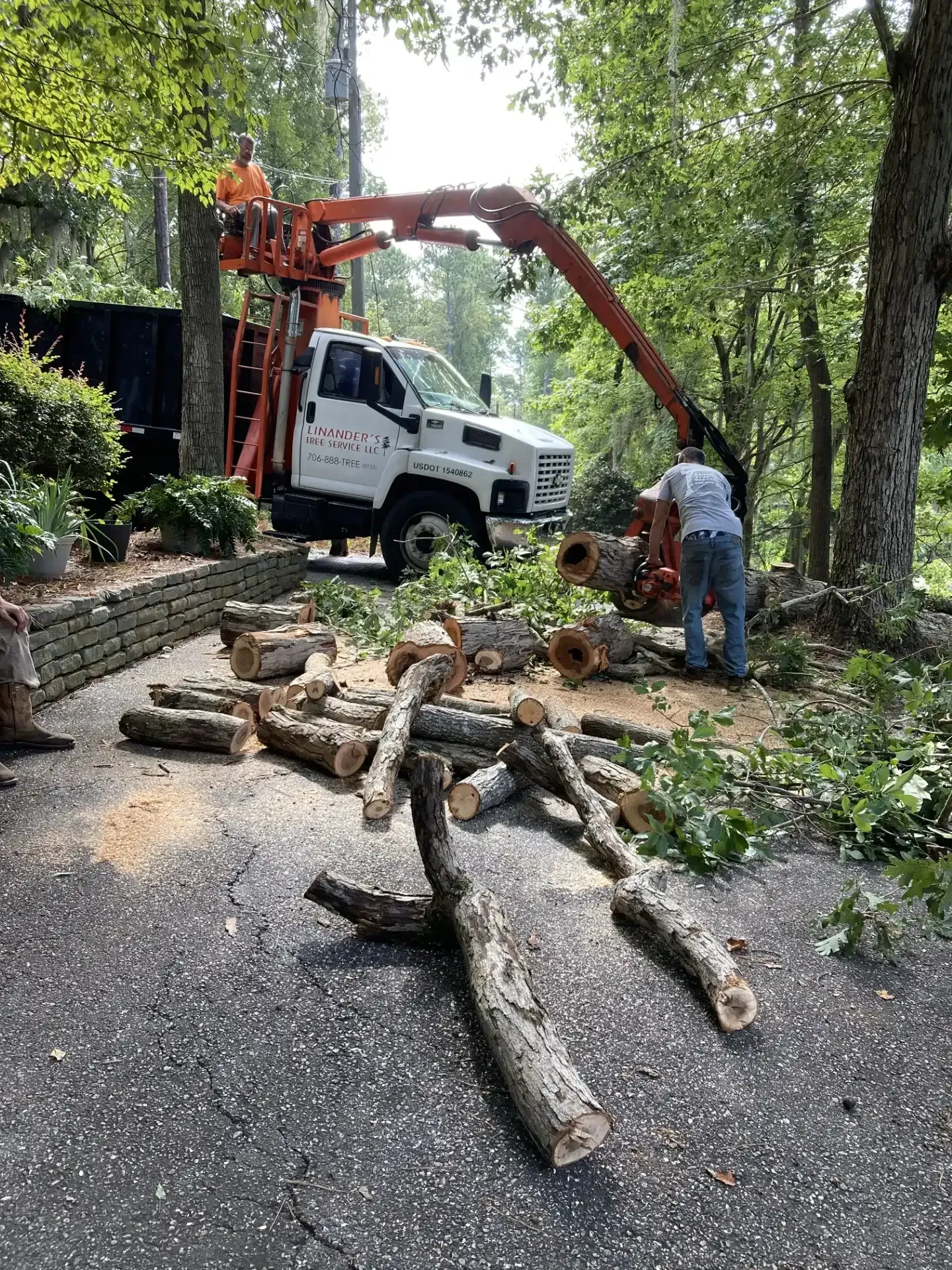 A man is cutting a tree with a crane.