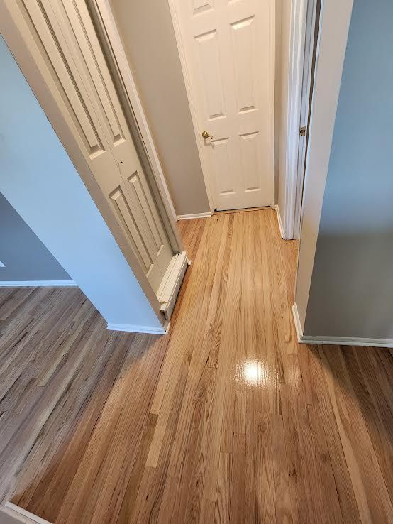 Hallway with light hardwood floors, white door, and built-in closet. Walls are painted gray and white.
