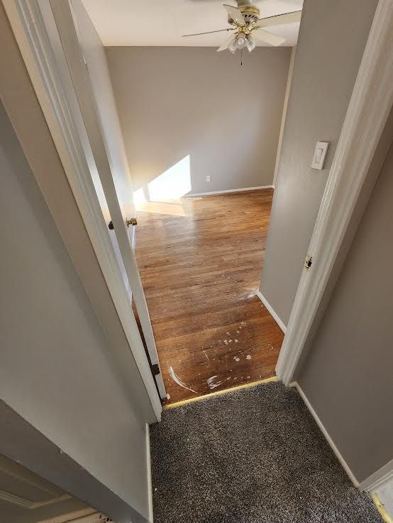 View into a room with hardwood floors through doorway. Gray walls, ceiling fan, carpet in foreground.