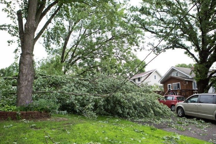 Emergency Tree Removal Service: Protect your Property from Storm Damage