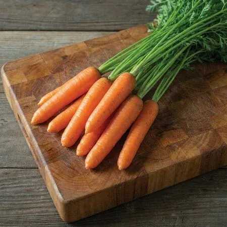 Five orange carrots with green tops hanging against a blurred green background