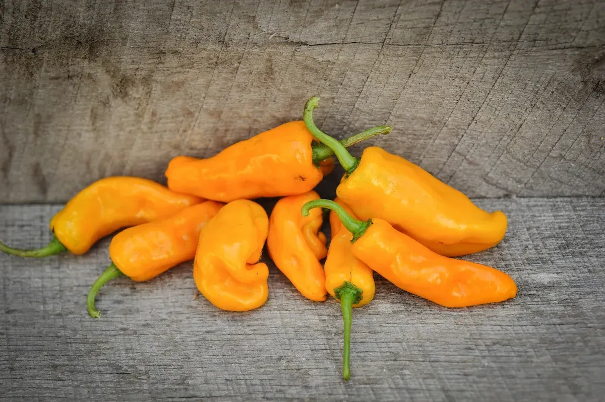Cluster of orange peppers with green stems on a gray wooden surface