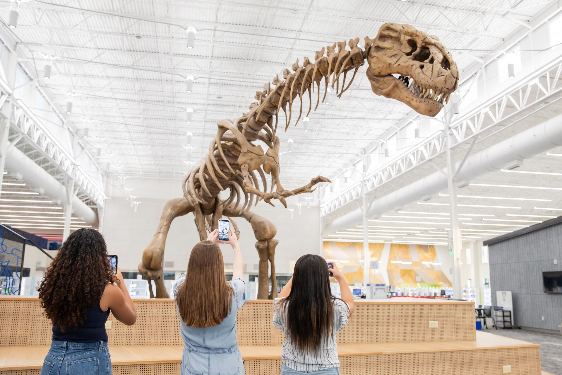 Three people taking photos of a large dinosaur skeleton in a museum.