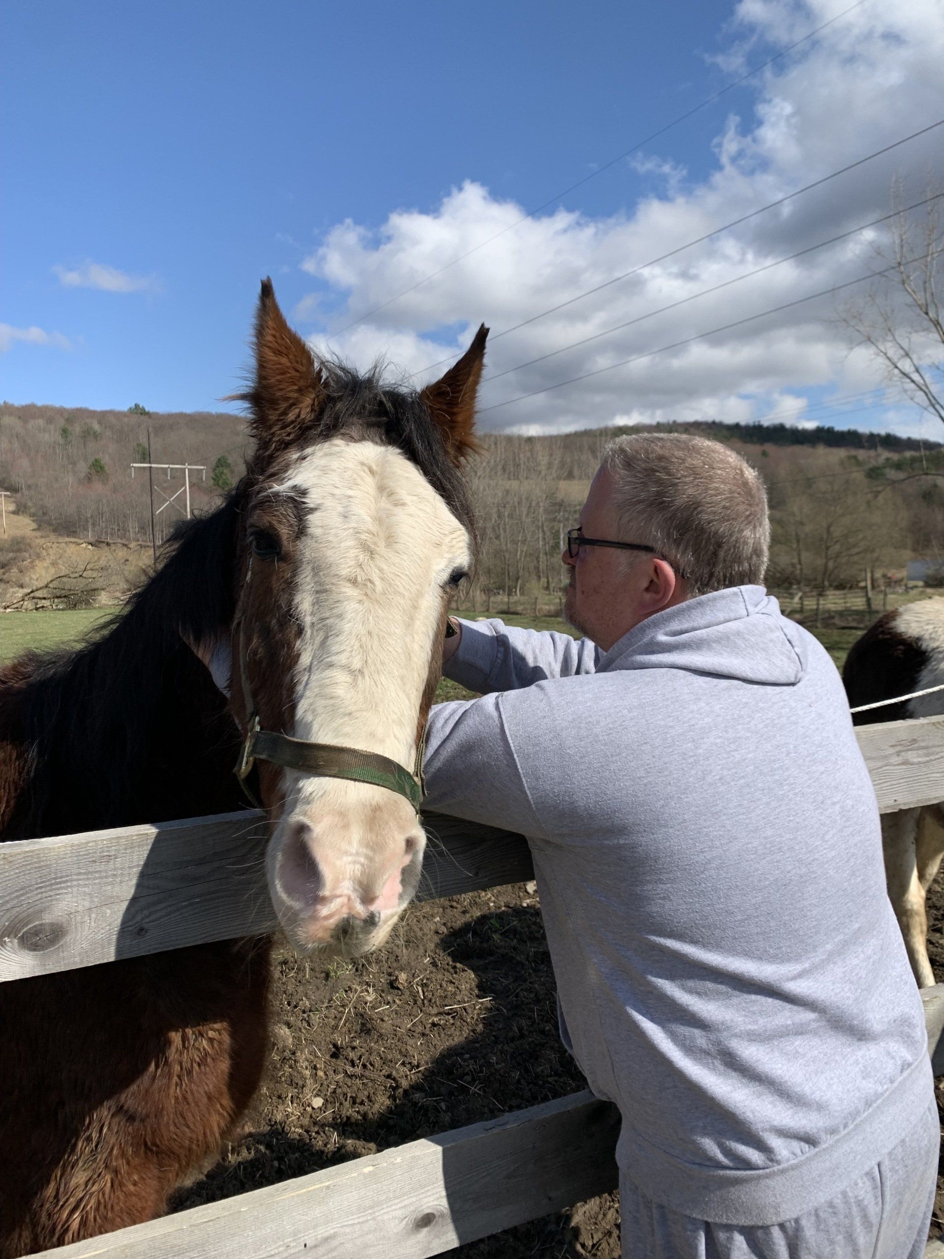 Horse Boarding in Friendship, NY | Wildfire Ranch NY INC