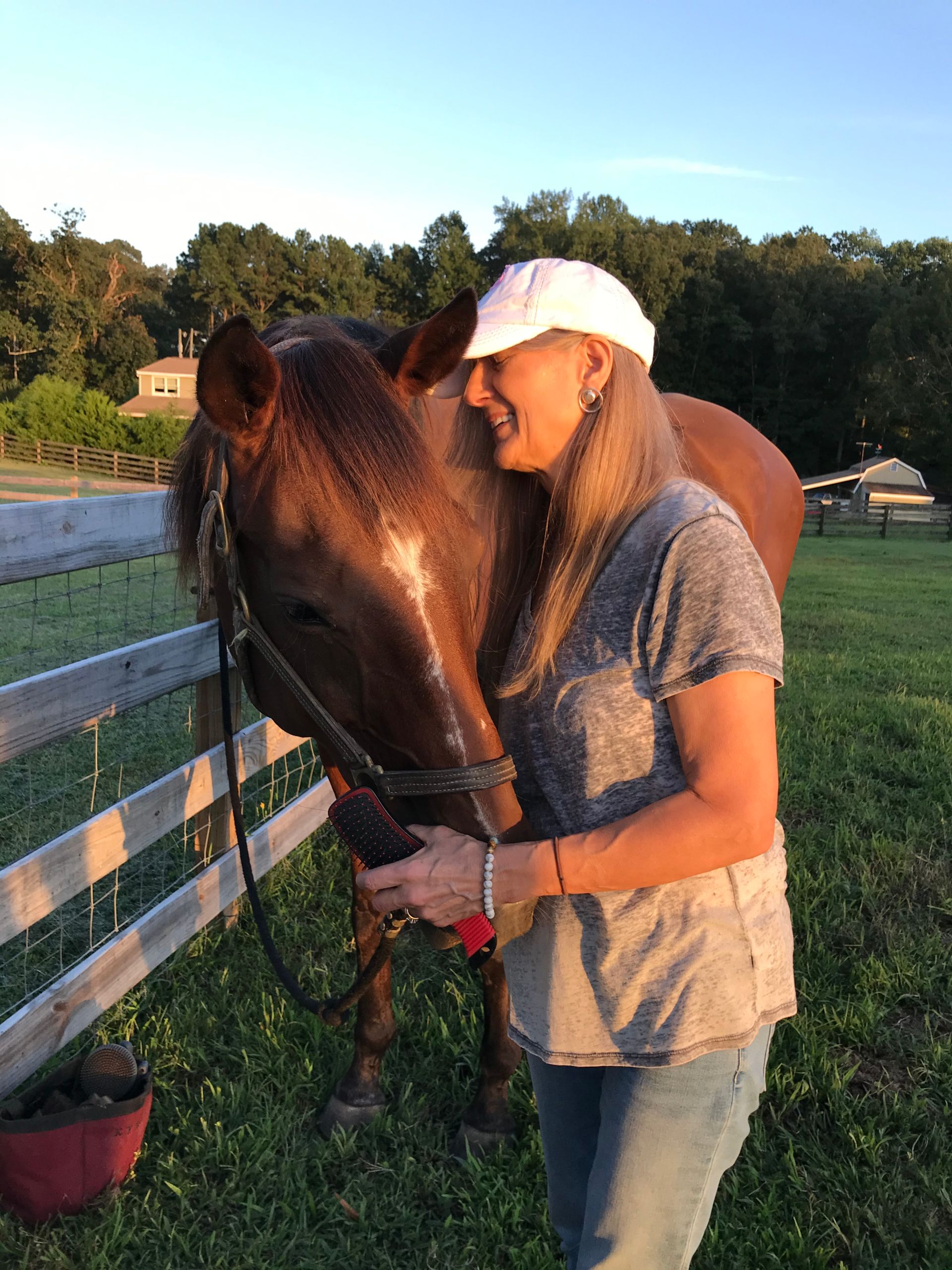 Equine Therapy in Friendship, NY | Wildfire Ranch NY INC