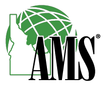 The ams logo has a green globe and a silhouette of a person.