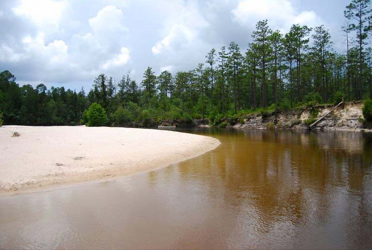 River Excursions — River Location For Adventure in Milton, FL