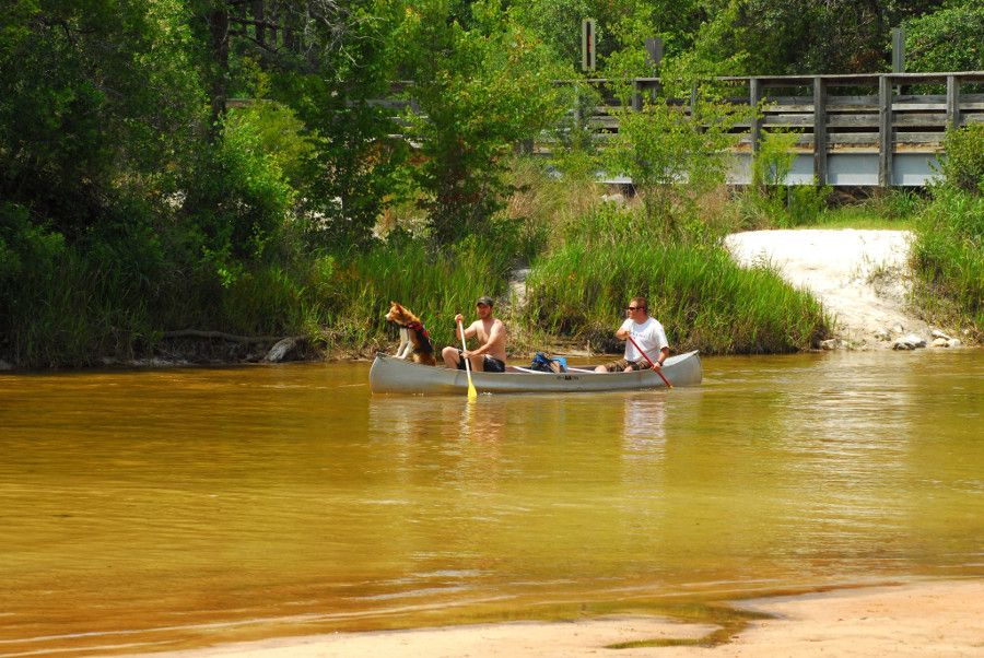 Canoeing Photos | Milton, FL | Blackwater Canoe Rental