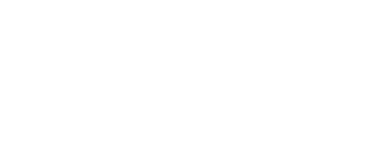 Imagen mayormente blanca, con una tenue línea horizontal azul claro cerca de la parte inferior.