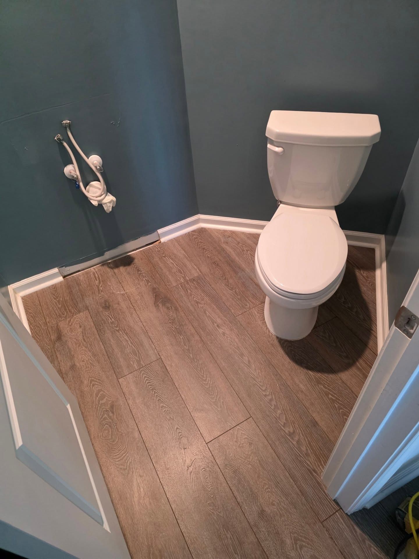 Small bathroom with white toilet, blue walls, wood-look floor, and wall-mounted toilet paper holder.
