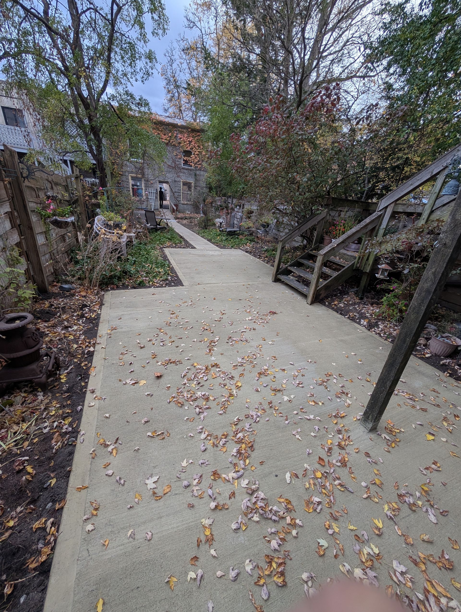 A concrete walkway with stairs leading up to a house surrounded by trees and leaves.