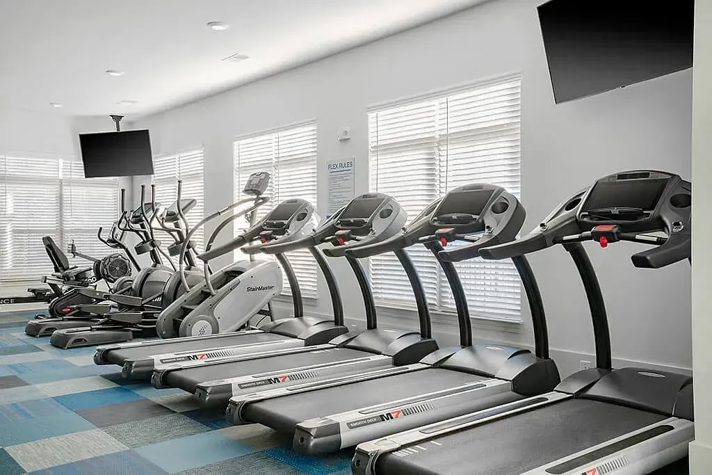 Row of treadmills in a bright modern gym with large windows and blue-gray flooring at Azure Carnes Crossing Summerville