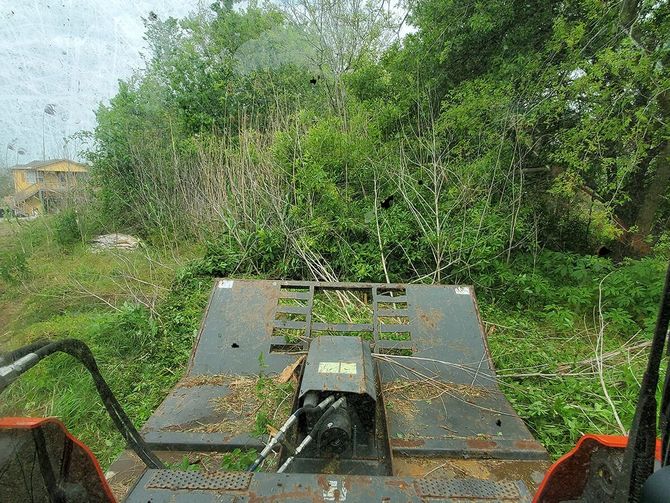 land clearing