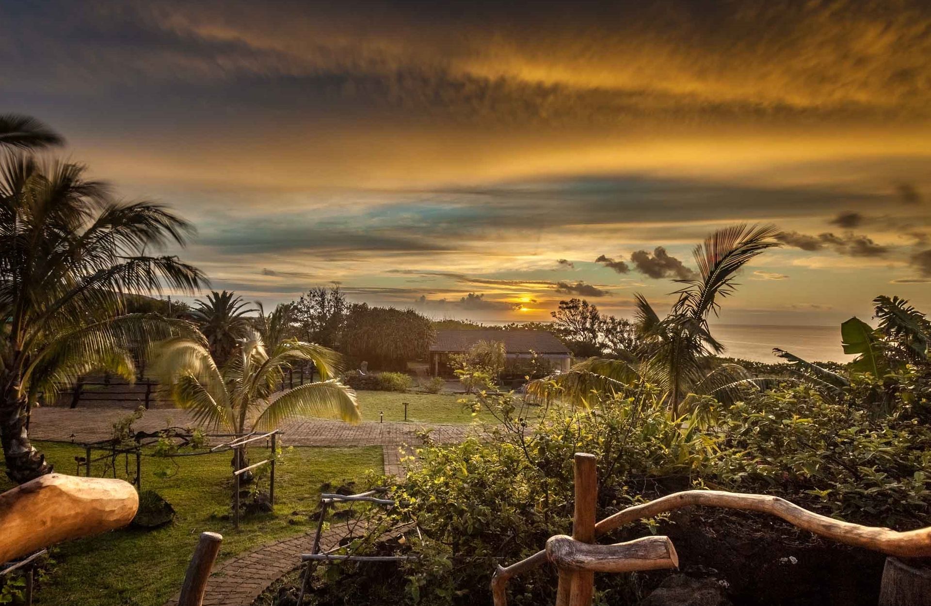 A sunset over a lush green field with palm trees