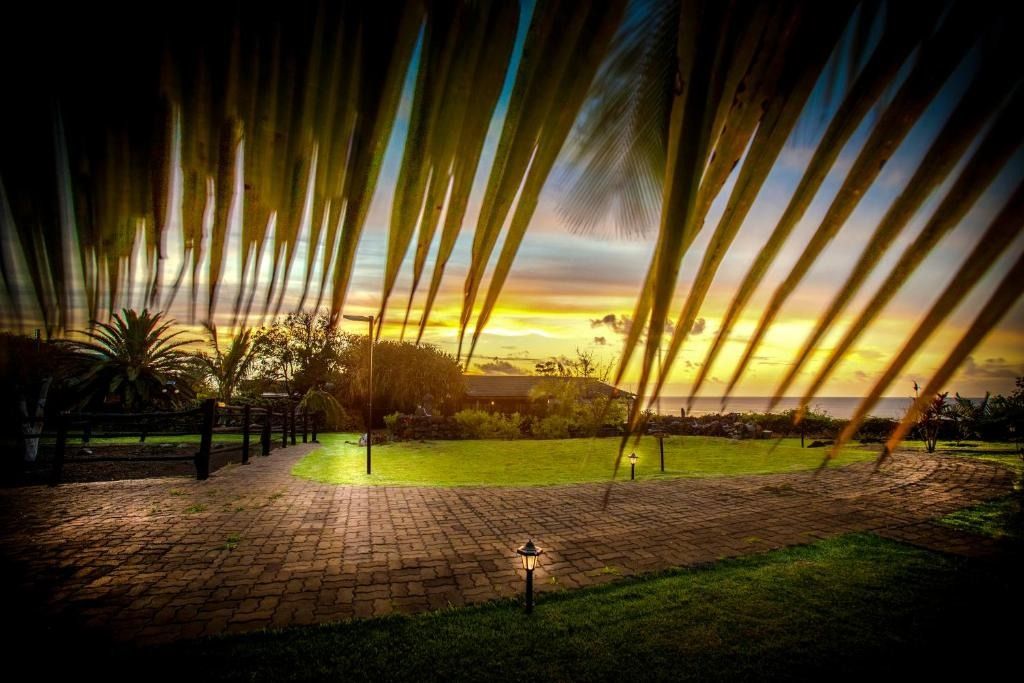 A sunset over a golf course with palm trees in the foreground