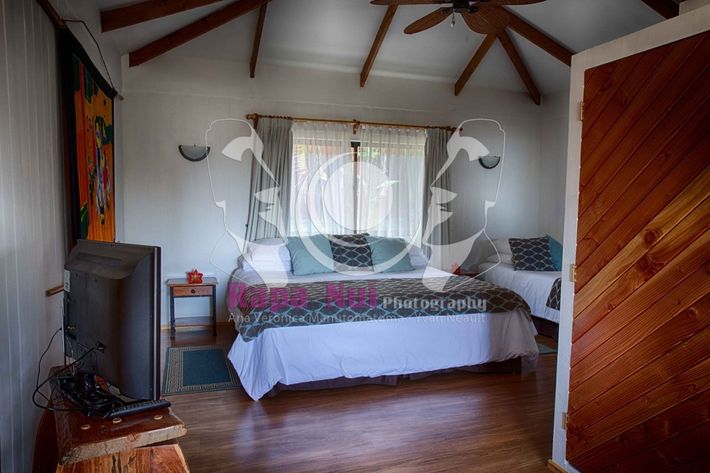 A bedroom with a bed , television , and a ceiling fan.