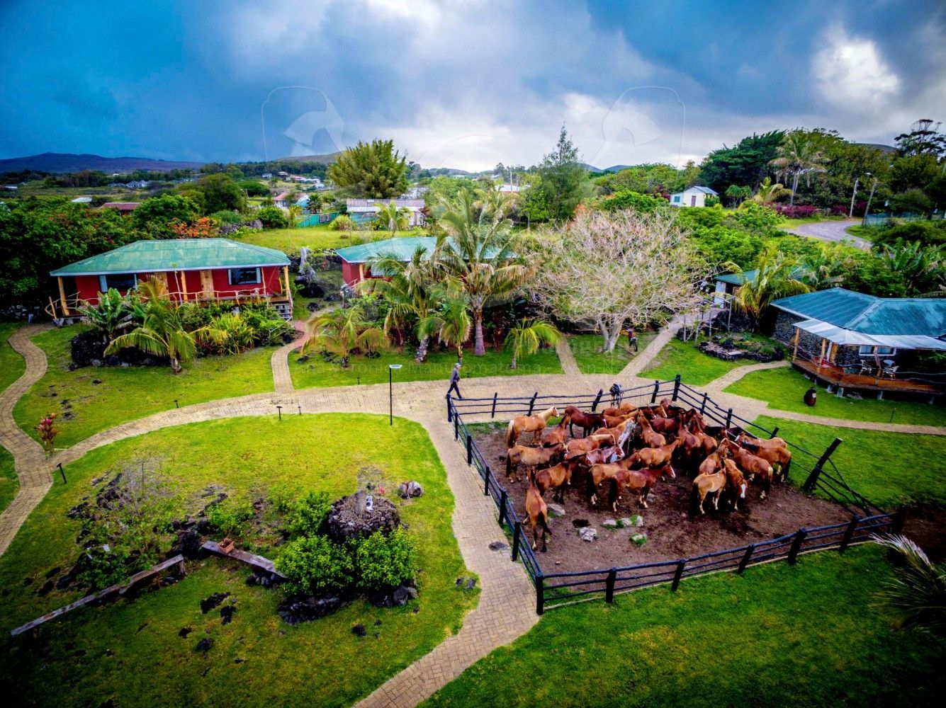 An aerial view of a farm with a herd of cows in a pen.