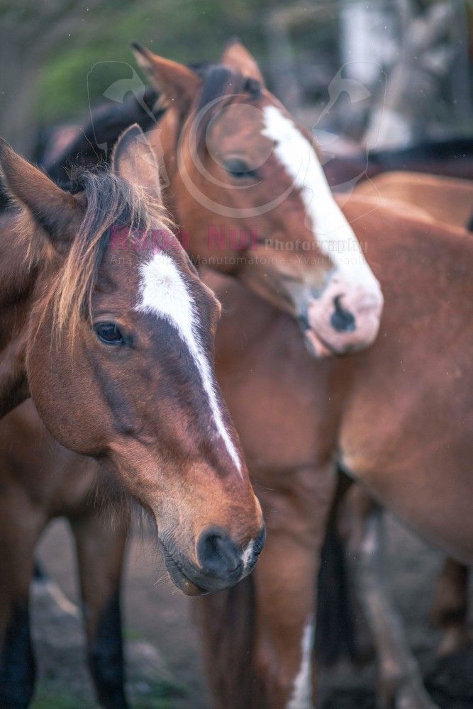 A person is preparing food in a wooden bowl with tweezers