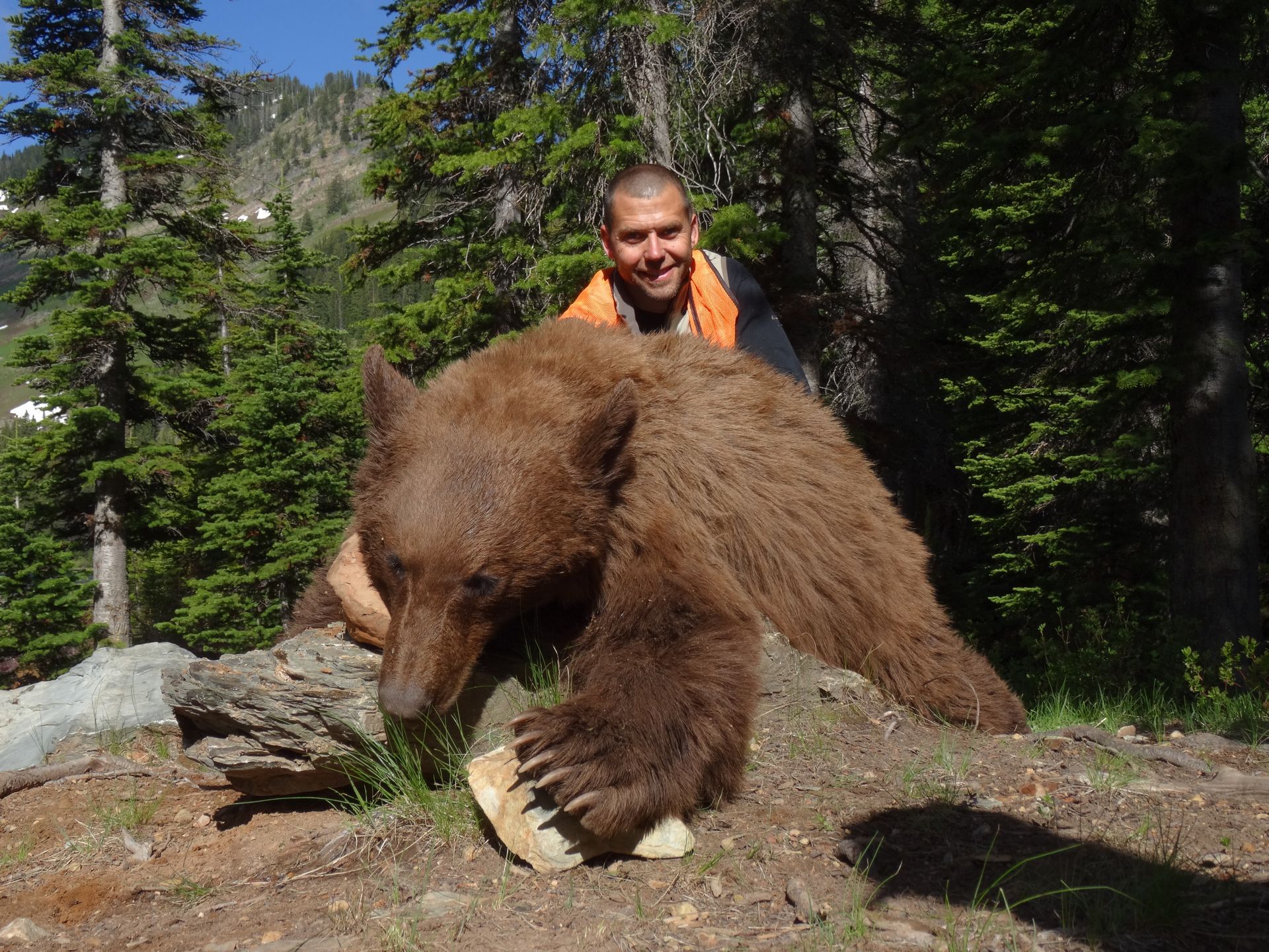 A man is standing next to a large brown bear in the woods.