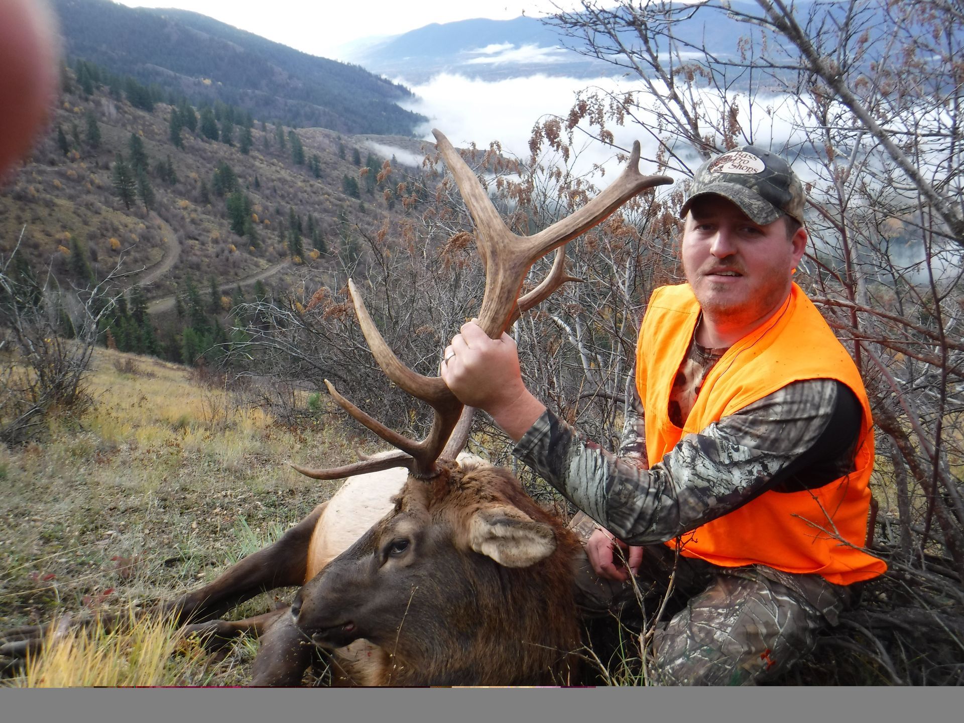 Mule deer hunts