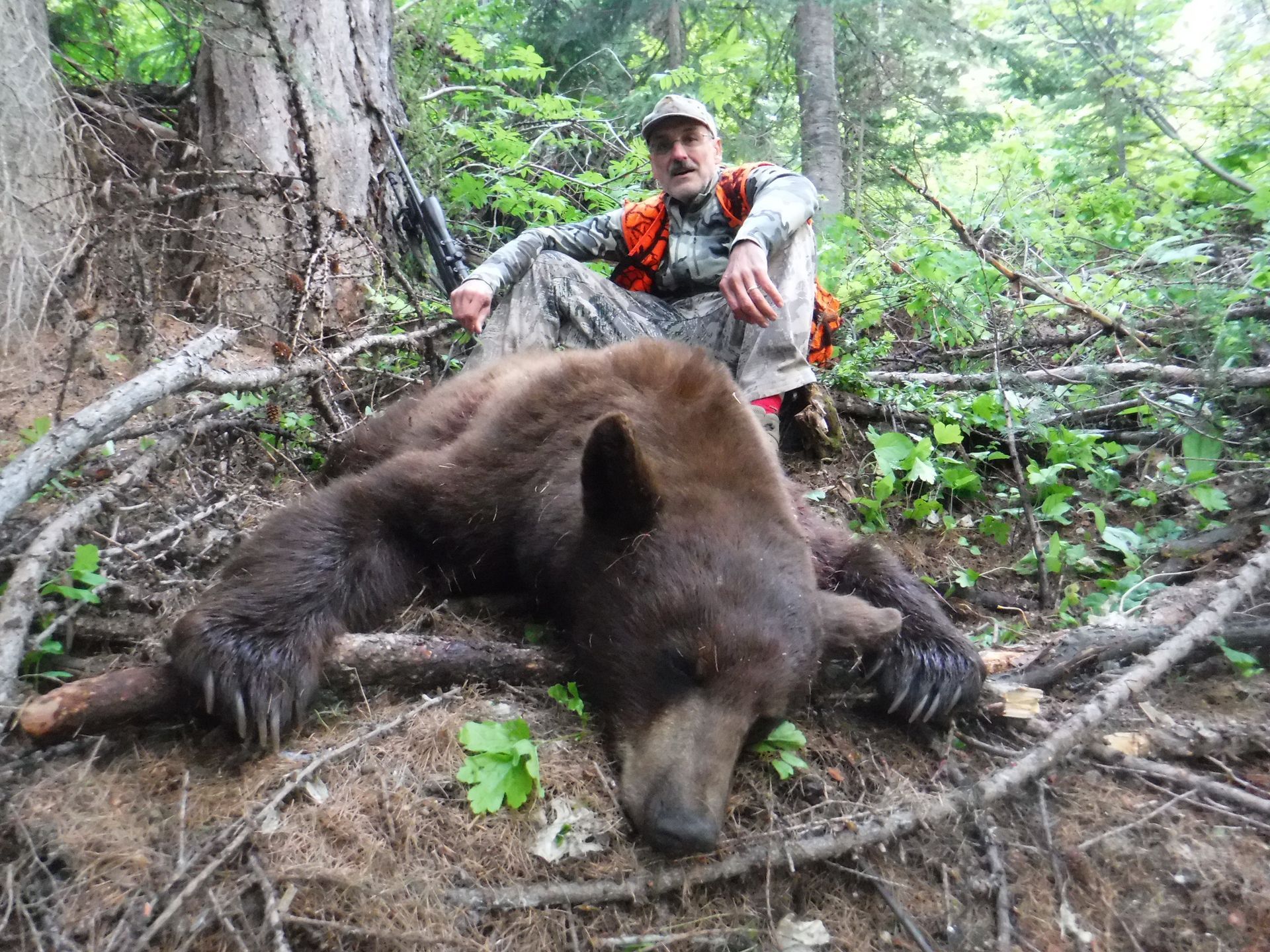 A black bear is laying on its back in the snow.