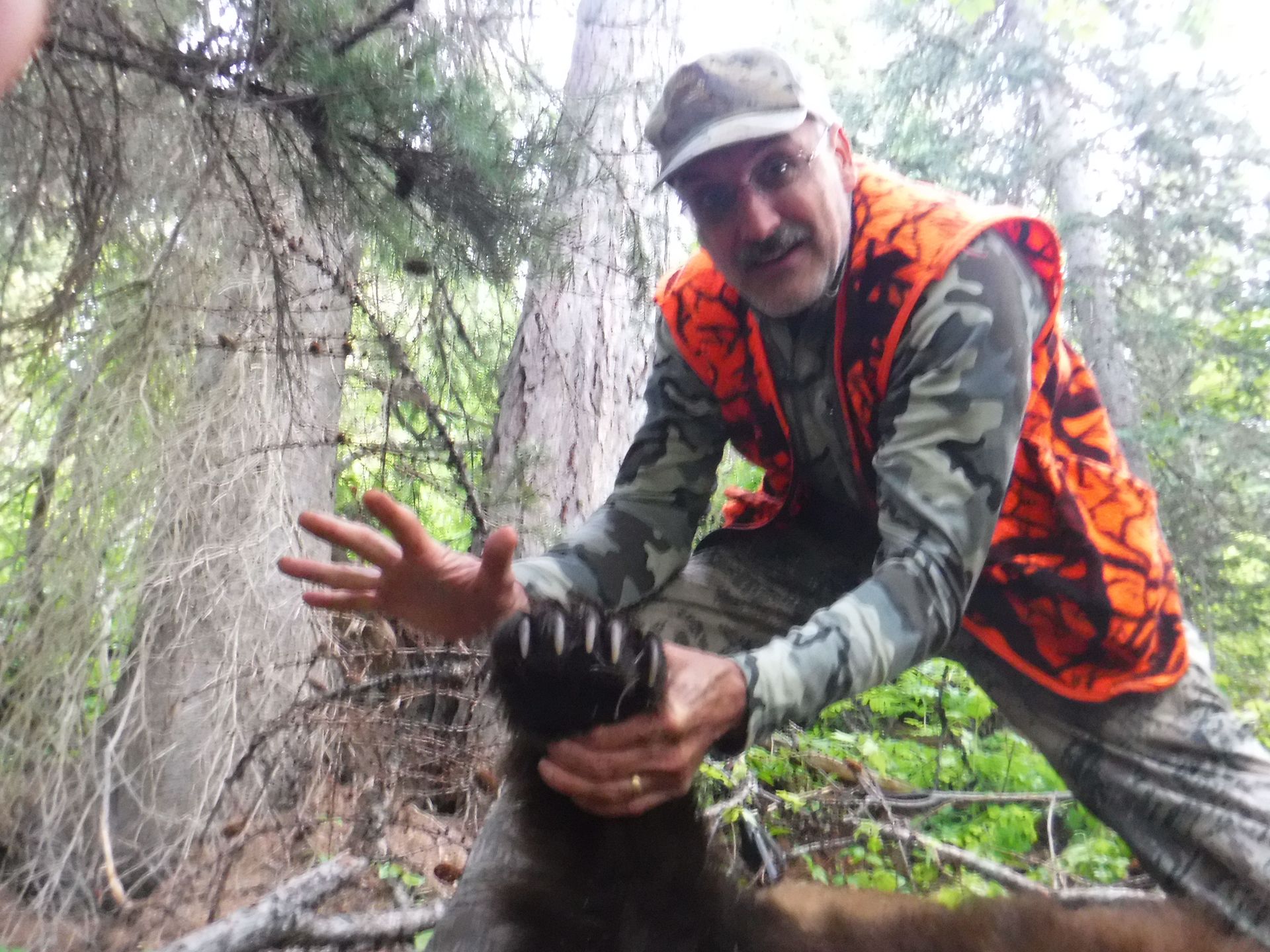 A man in an orange vest is holding a bear 's paw