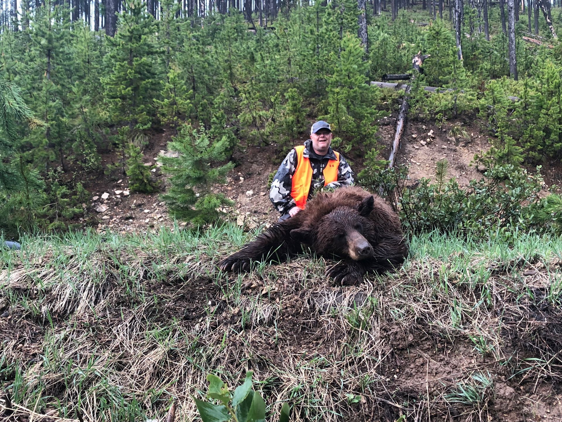 A black bear is laying on its back in the snow.