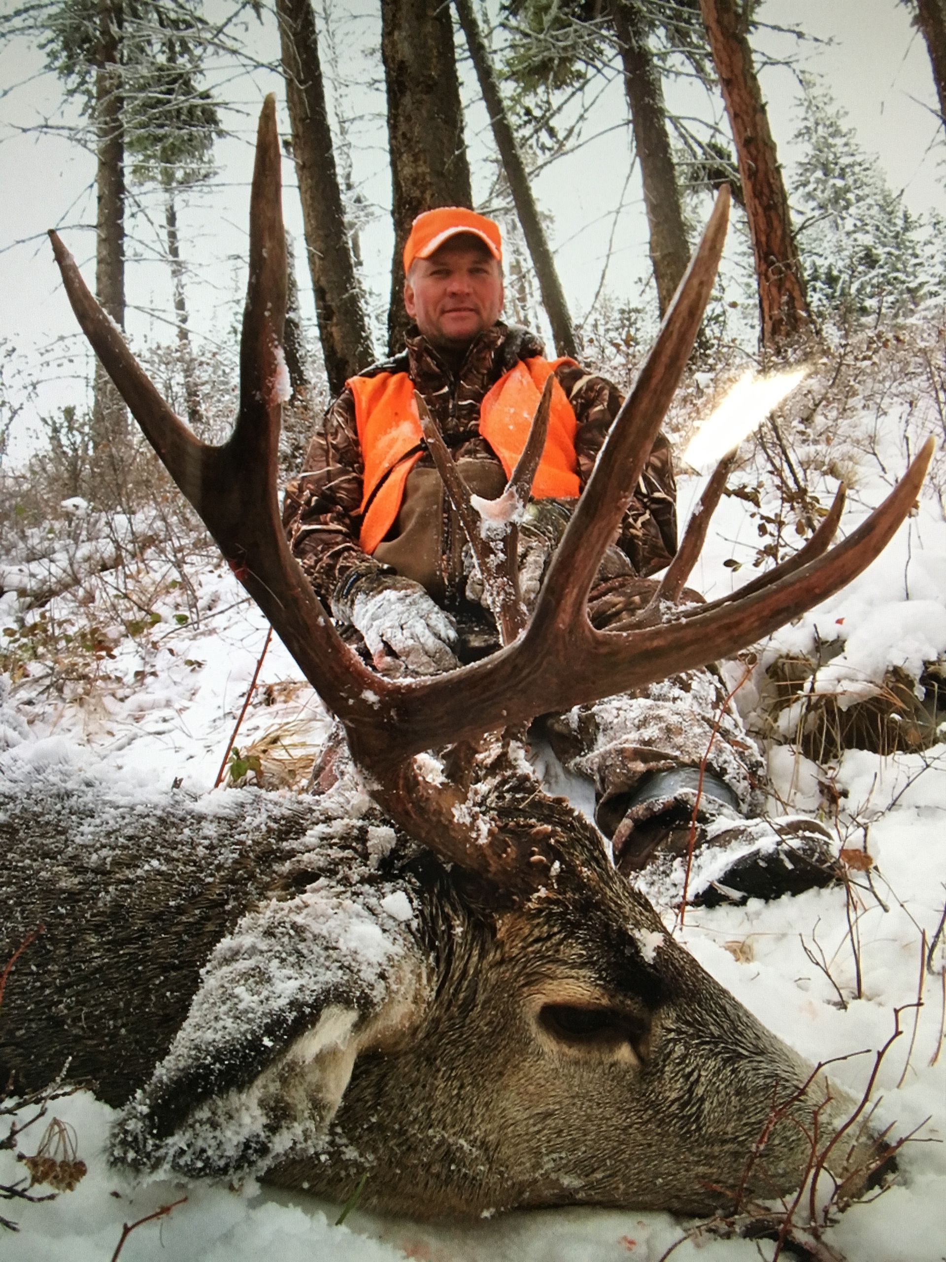 Mule deer hunts