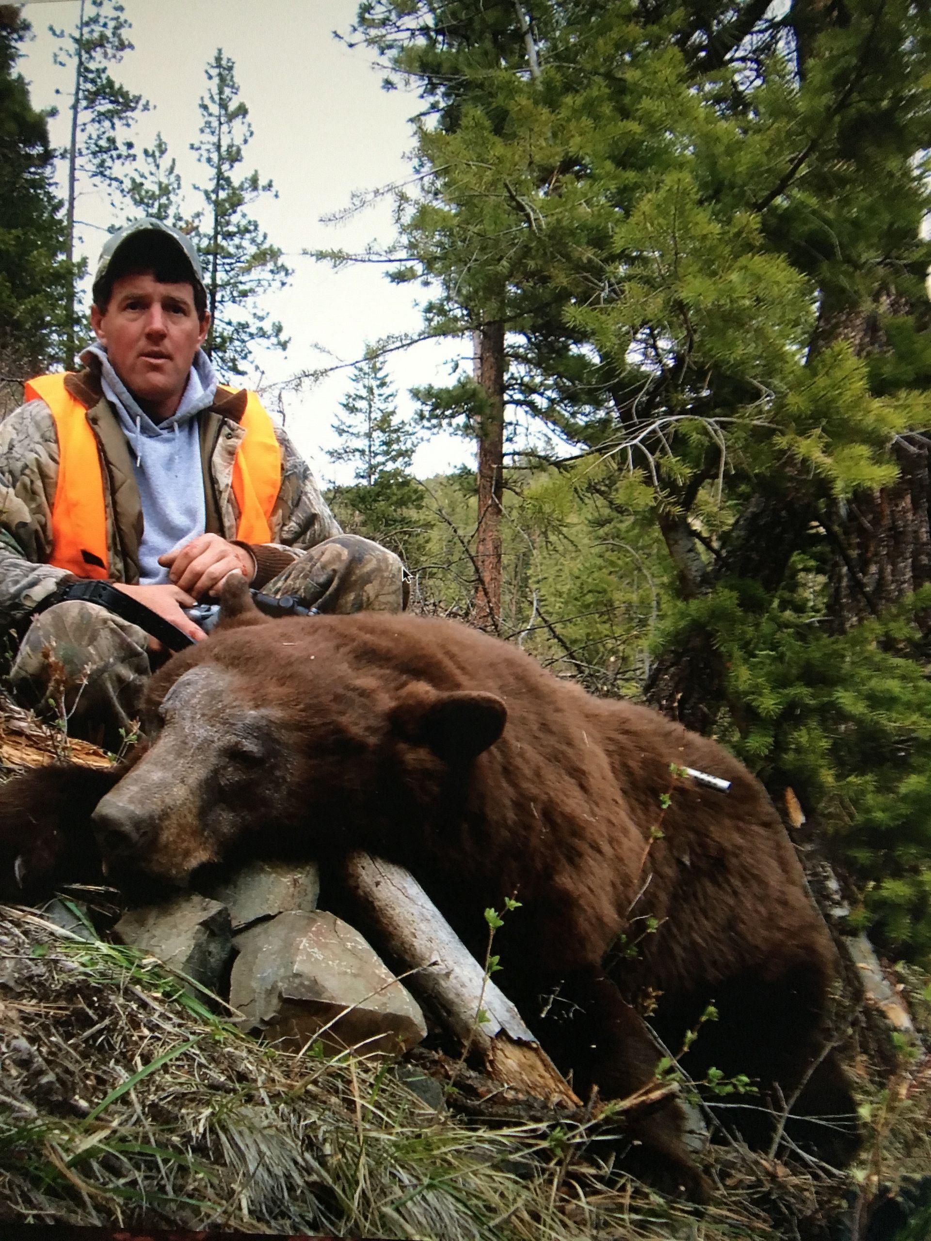 A black bear is laying on its back in the snow.